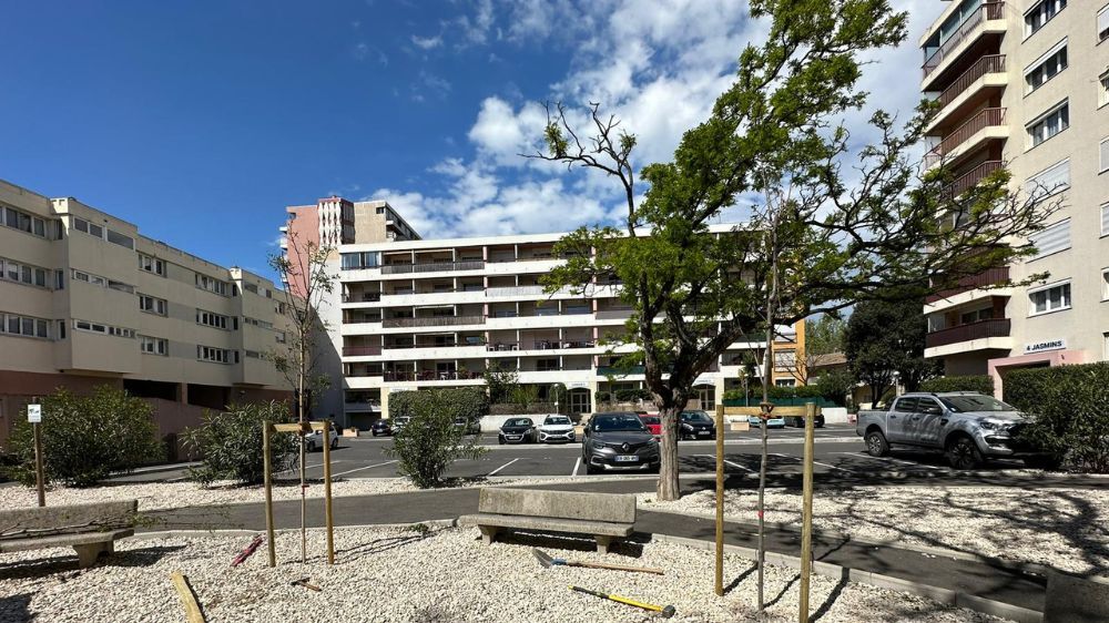 Création d'espaces verts Serpe Arles.jpg